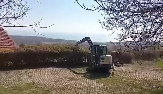 Minikotró sövényvágó adapterrel visszavág egy hosszú tűztövis sövényt nyaraló kertjében.